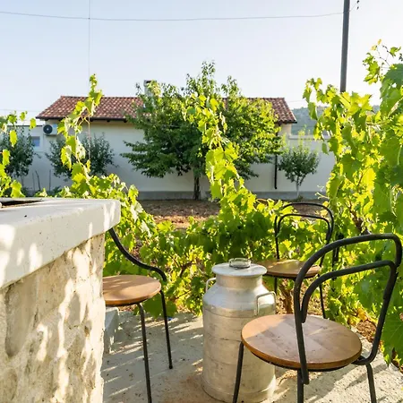 Grandfather's House Stankovci (Zadar)