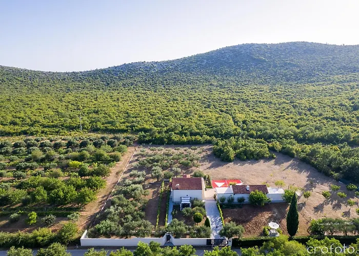 Grandfather's House Vila